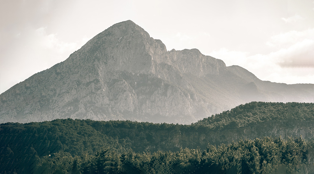 Meubles respectueux de l'environnement
