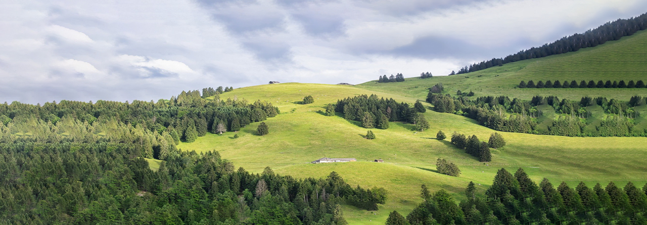 Fourniture respectueuse de l'environnement