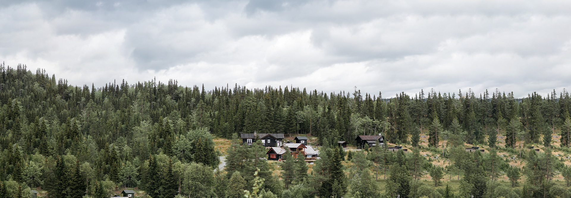 Fourniture respectueuse de l'environnement